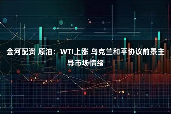 金河配资 原油:WTI上涨 乌克兰和平协议前景主导市场情绪