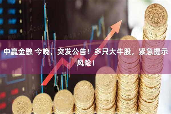 中赢金融 今晚，突发公告！多只大牛股，紧急提示风险！